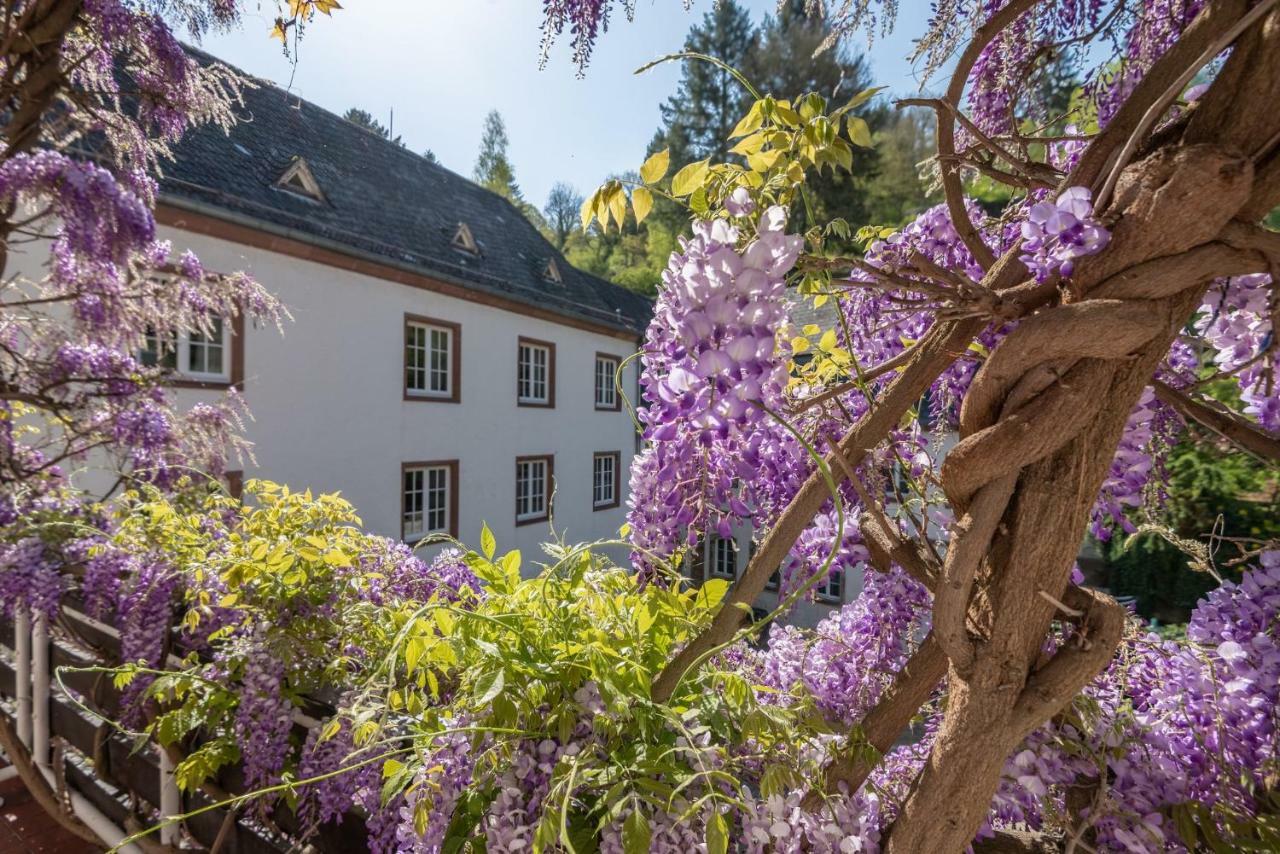 Hotel Heintz Vianden Extérieur photo